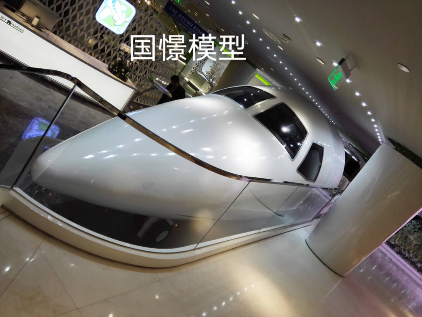 兴宁市大型仿真模型道具